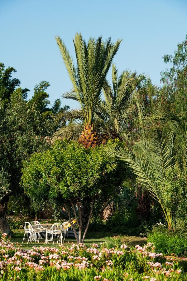 Pavillon Terra Ababila En Exclusivite Villa Marrakesh Exteriör bild